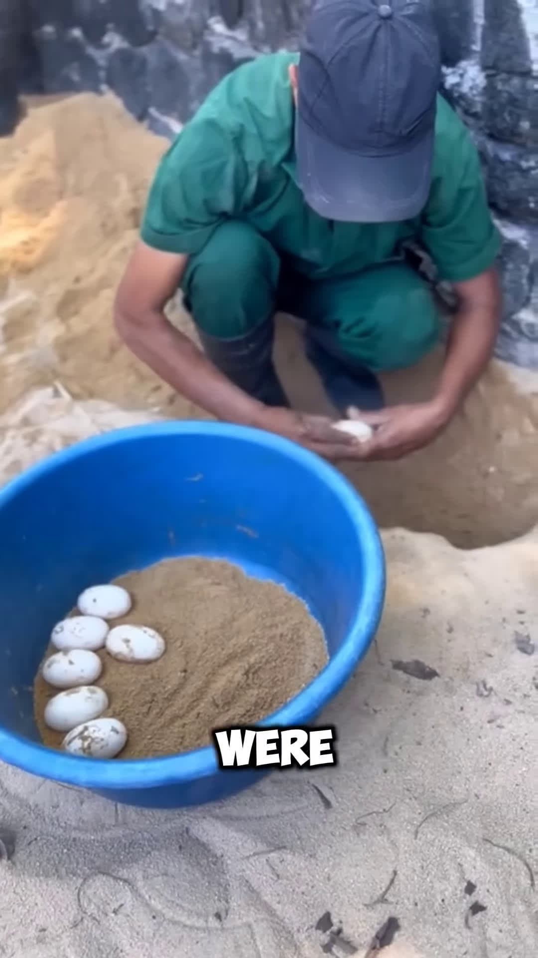 cover for He Raised Crocodiles Like His Kids Heartwarming