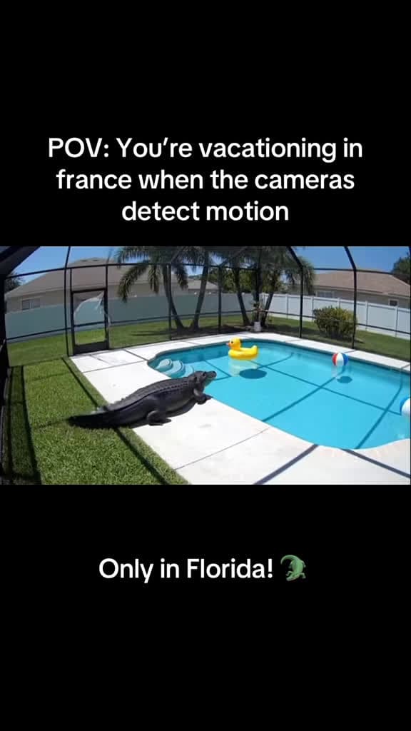 cover for When a gator decides your pool is home! Only in Florida 🐊 #florida #alligator #poollife