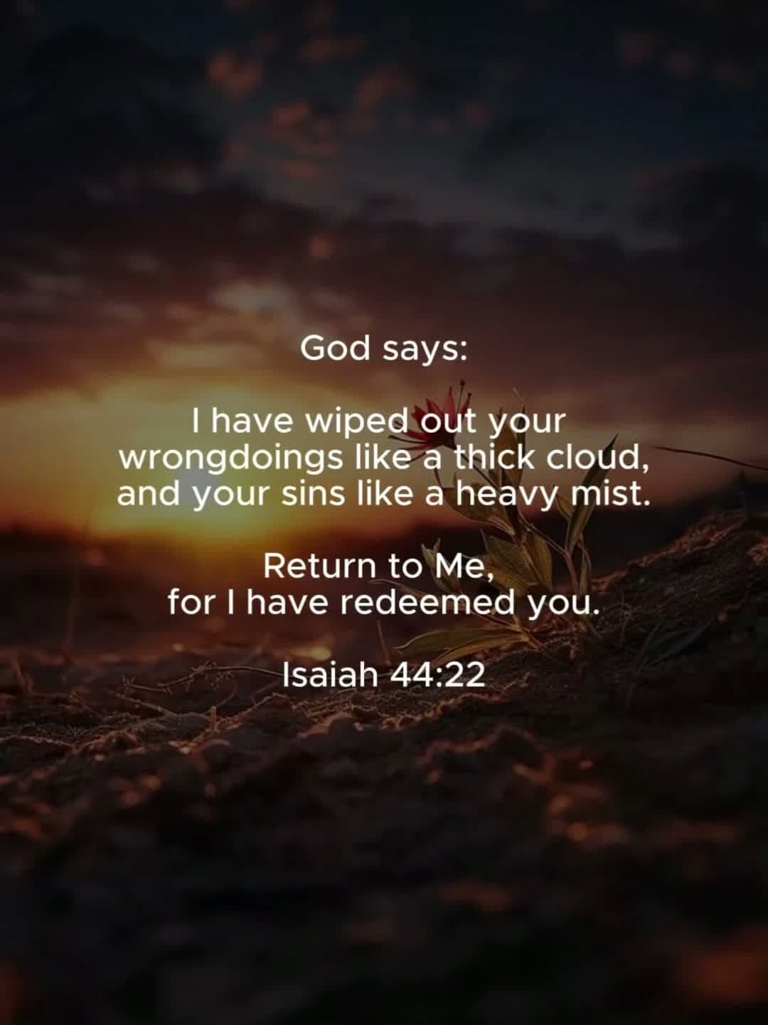cover for #DailyScriptures #bible  #bibleverse  #biblestudy  #biblestudy  #biblewisdom  #bibleverses  #god  #godisgood  #godsplan  #godfirst  #jesus  #jesuslovesyou  #jesuschrist  #jesusisking 