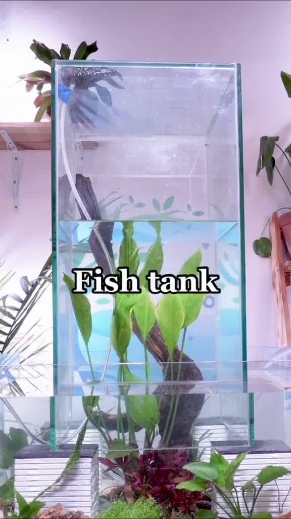 cover for I made a TWO STORY fish tank 🏡 #fishtok #fishcontent #animalsdoingthings 