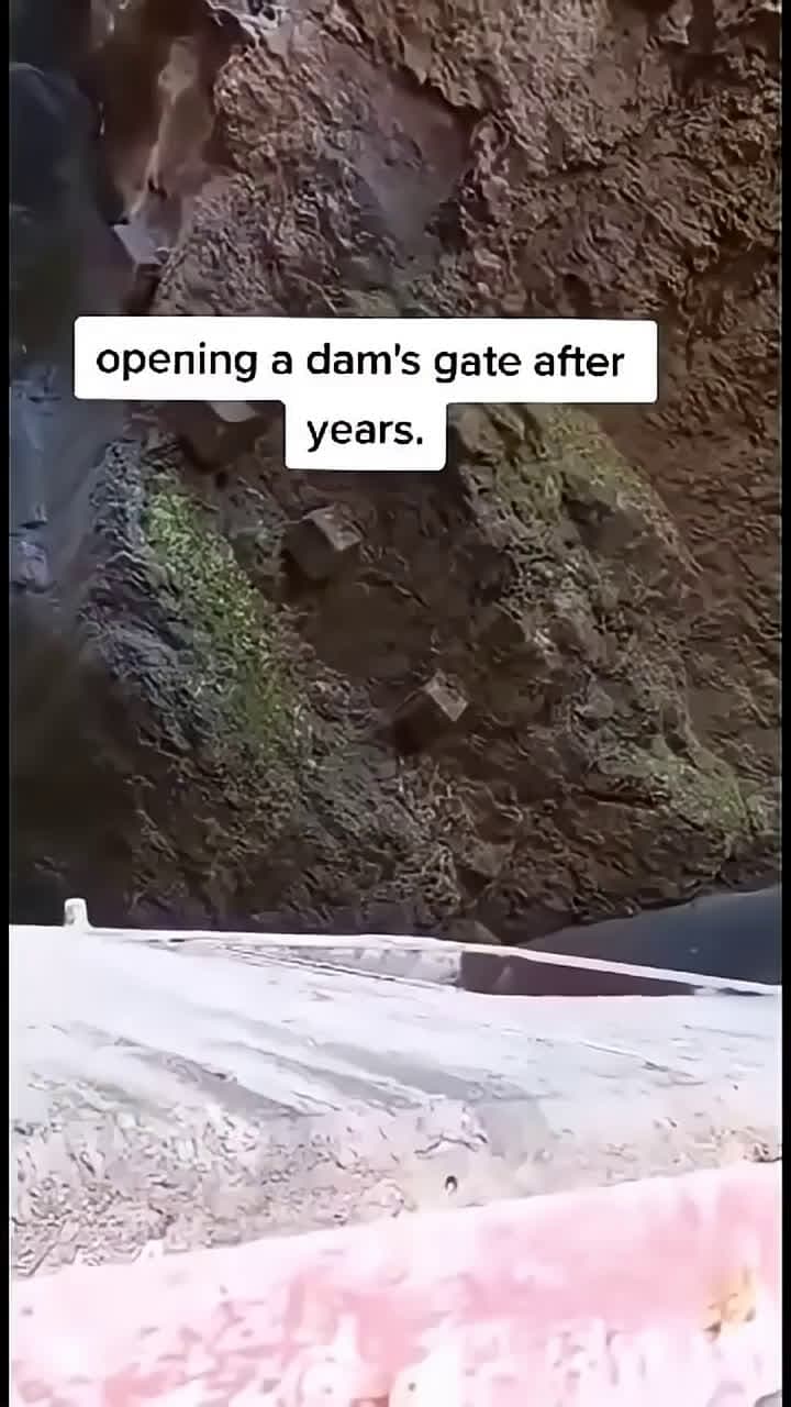 cover for Watch what happens when a dam gate opens for the first time in years! 🚨 #DamOpening #NaturePower #Engineering