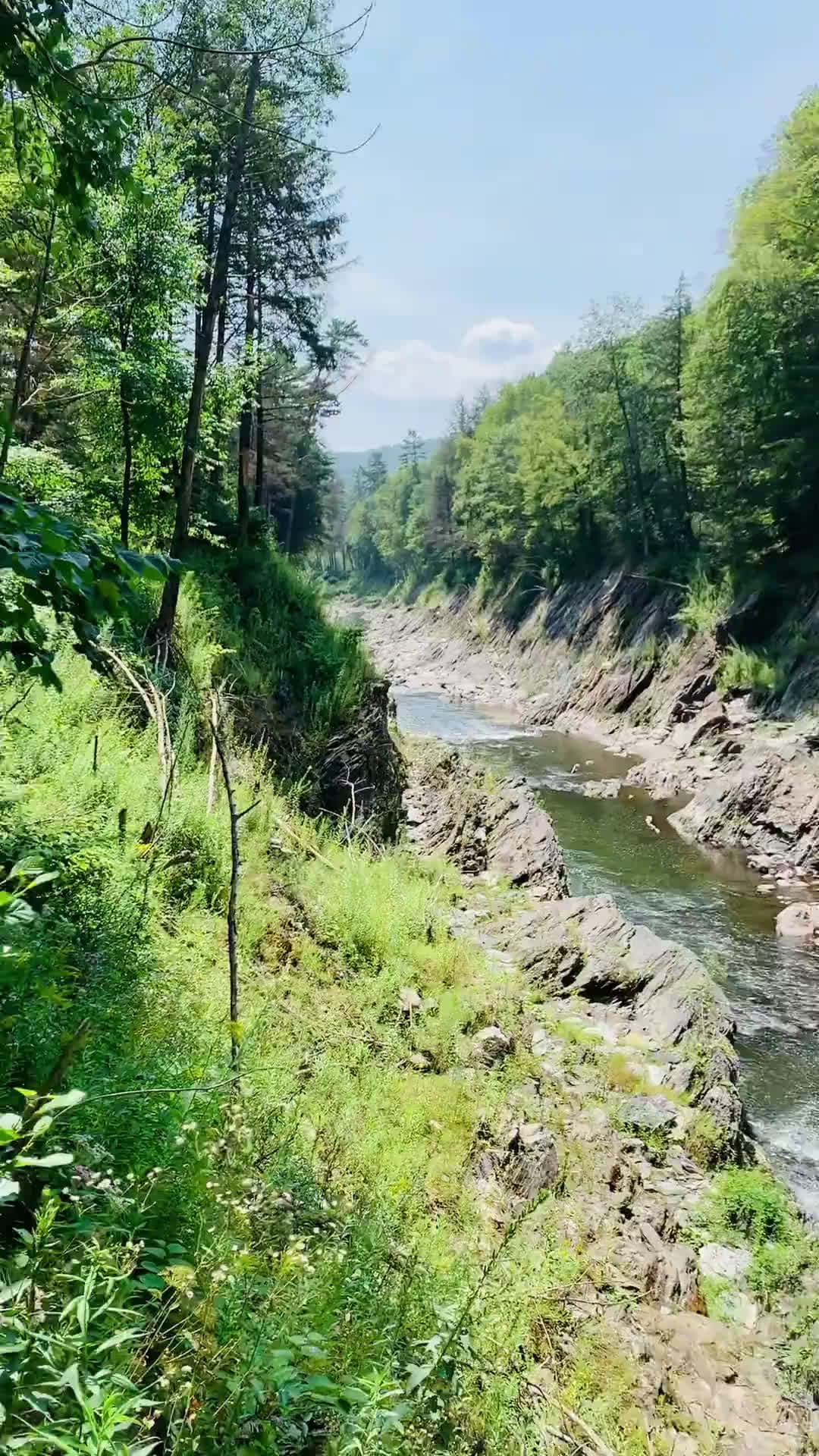 cover for Explore Vermont's stunning Green Mountain scenery and lush valleys 💚 #Vermont #GreenMountains #TravelVT #NatureLovers