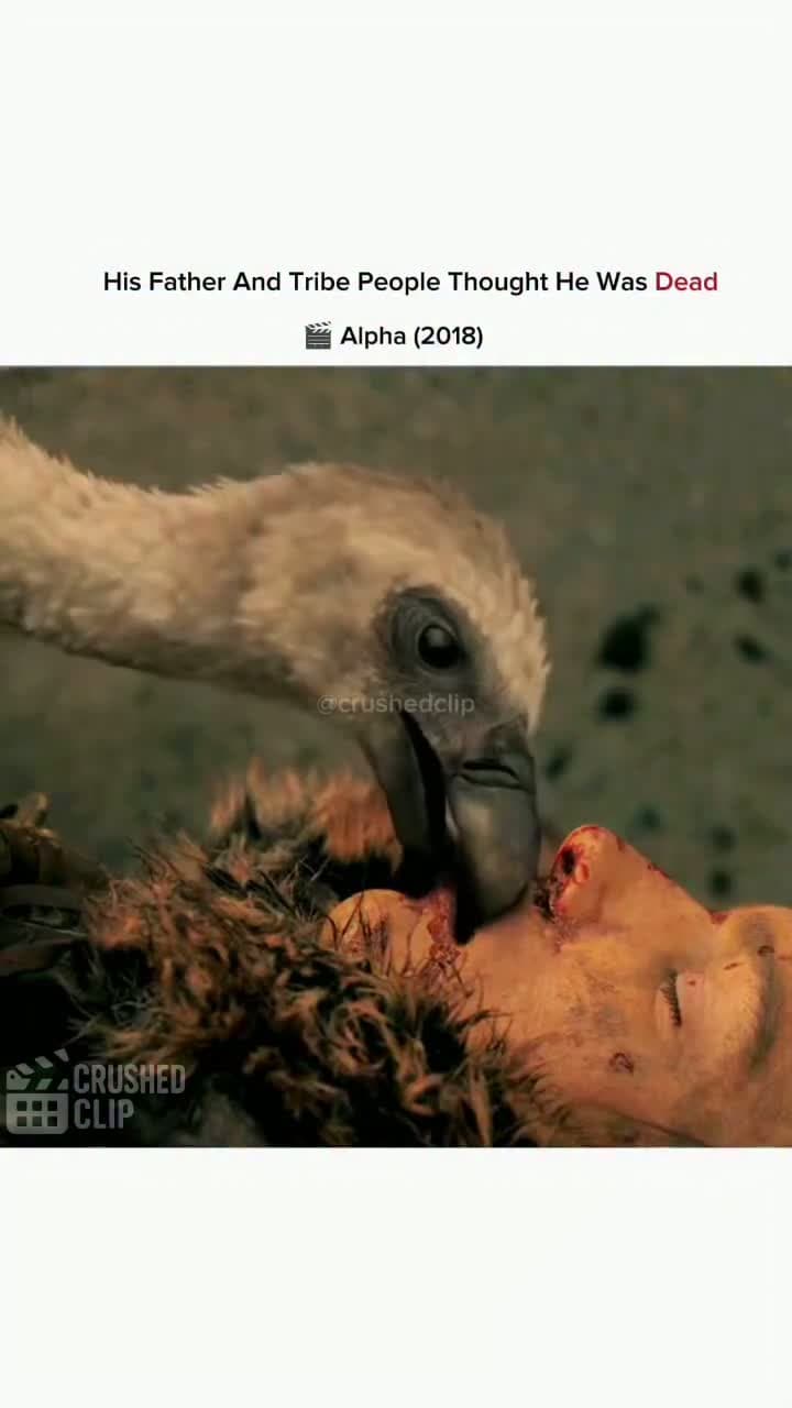 cover for Alpha – A Journey of Survival & FriendshipGenre: Adventure | Drama | Survival | HistoricalDuration: 1h 36 mins 🎥