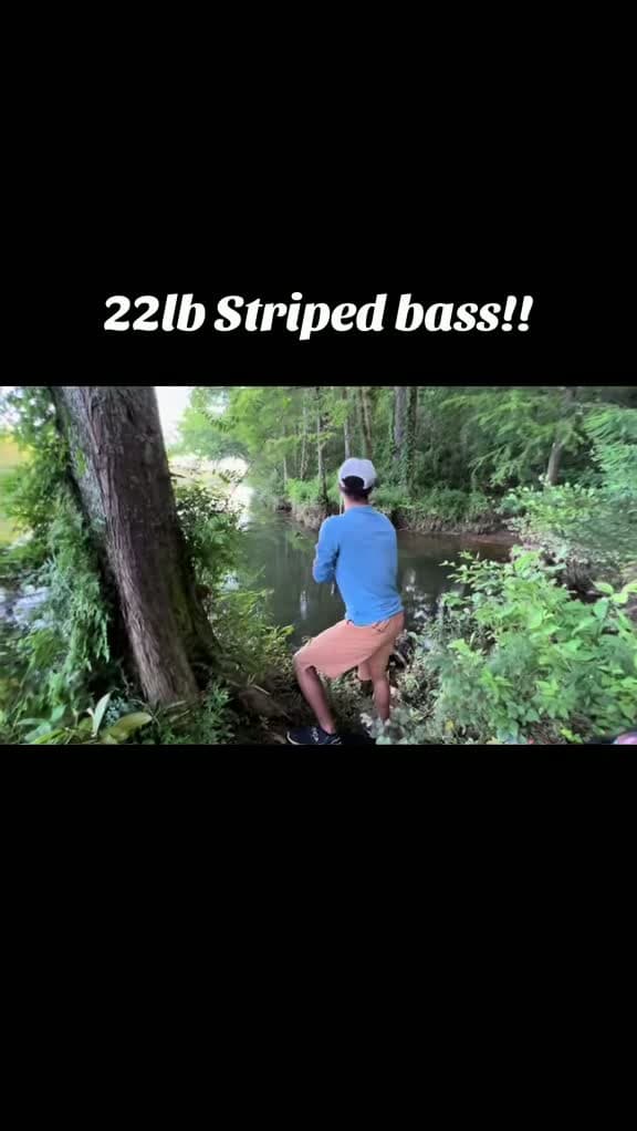 cover for Caught a massive 22lb Striped Bass! 🎣 #Fishing #CatchOfTheDay #BigFish