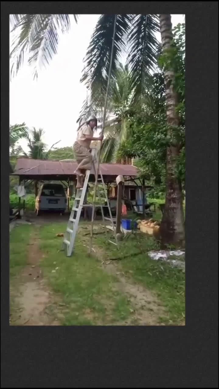 cover for When opening a coconut goes hilariously wrong! 🥥😂 #EpicFail #CoconutChallenge