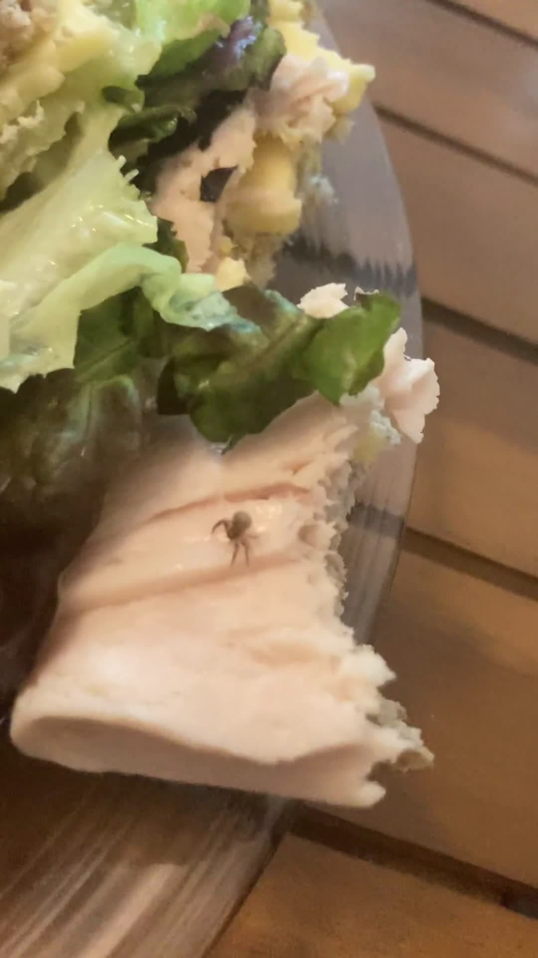 cover for You won't believe what crawled out of my sandwich 😳🪲 #LunchSurprise #SandwichMoment #Unbelievable #FoodMystery