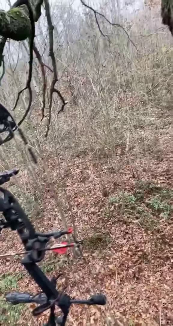 cover for That’s a season wrap! What a shot! 😳🏹 #bowhunting #deerseason #archery #hunting