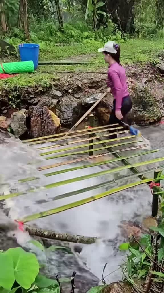 cover for She built a homemade trap and caught a huge haul of fish from the stream! 🐟🔥 #FishingSkills #FishTrap #OutdoorAdventure