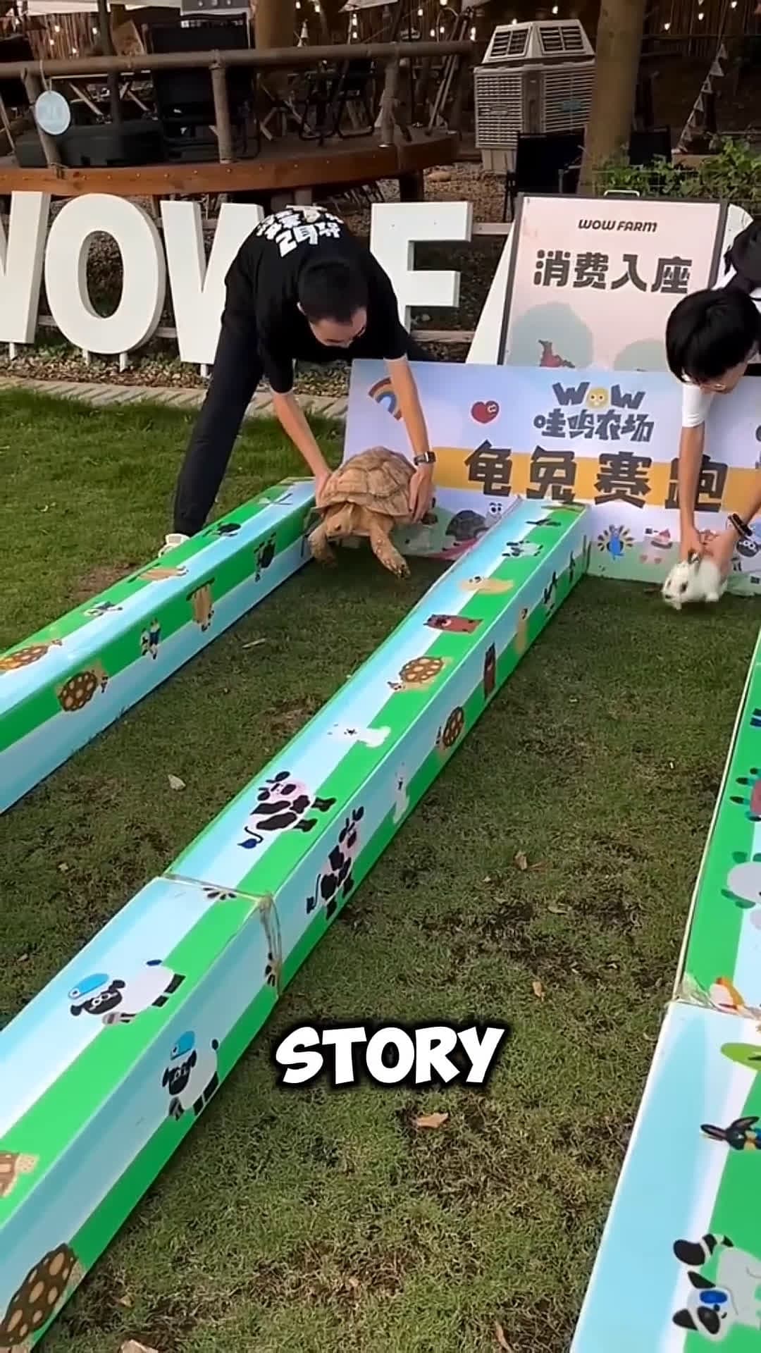 cover for He Recreated the Tortoise and Rabbit Story and This Happened