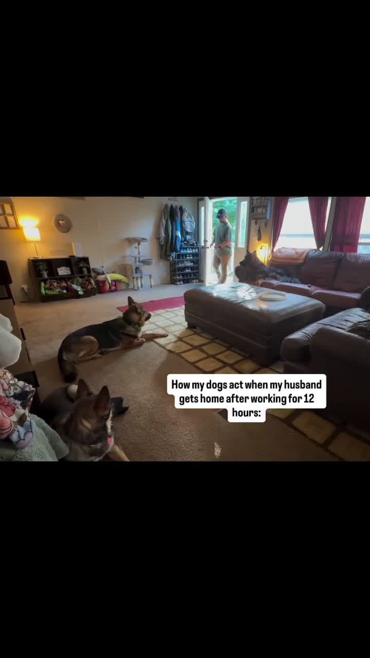 cover for I'm suuuure they love him equally, they just have a different way of showing #FunniestVideoOnMyPhone#CaughtOnCamera