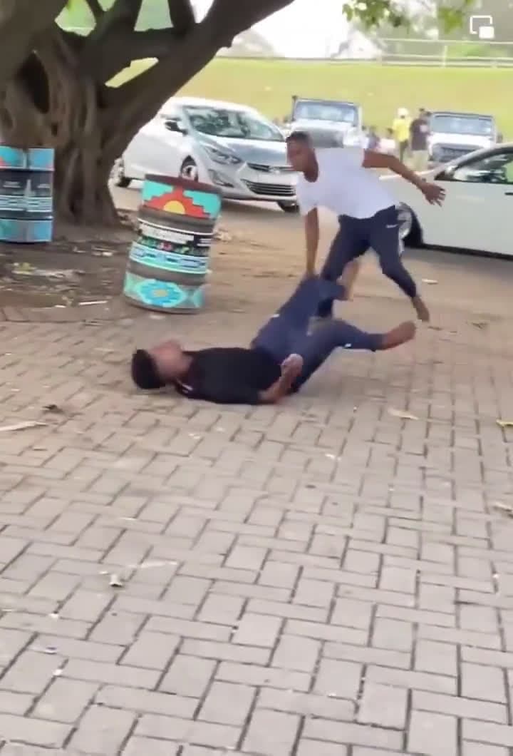 cover for Kind gentleman helps his opponent sit down mid fight😂😂 #fight  #knockout  #fyp