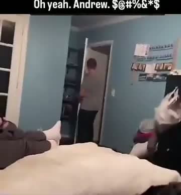 cover for 🤣😂🤣