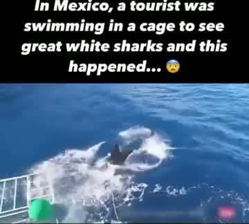 cover for Shark cage disaster 🤯#CaughtOnCamera