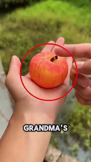 cover for This prank made grandma lose her temper