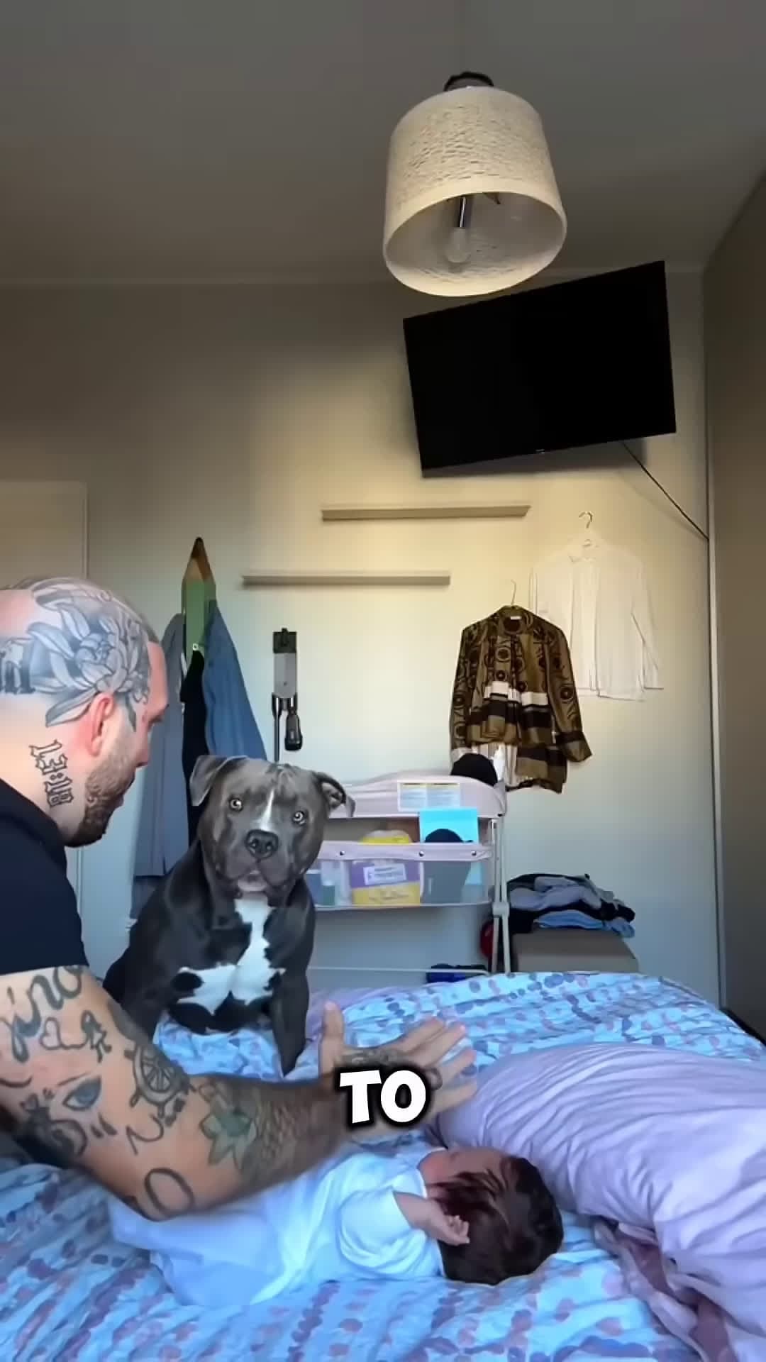 cover for Loyal Dog Protects Saves Little Girl