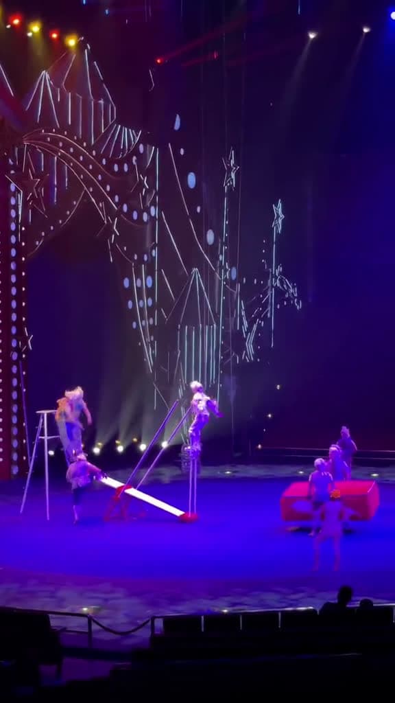 cover for multimao circus cirque acrobatics extreme crazy amazing wow omg jump trampoline 16850 #trending
