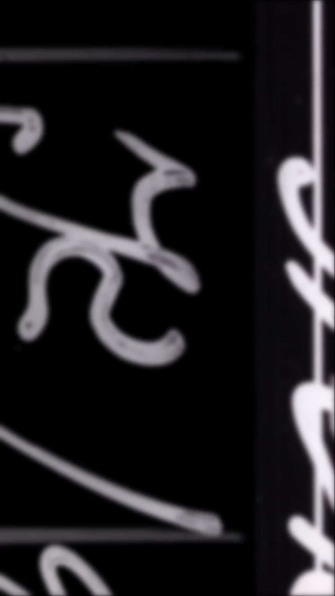 cover for Unsolved Archive: Case 112-R03 — can these clues crack the mystery? 🔎 #Unsolved #Mystery #Archive #CaseFile
