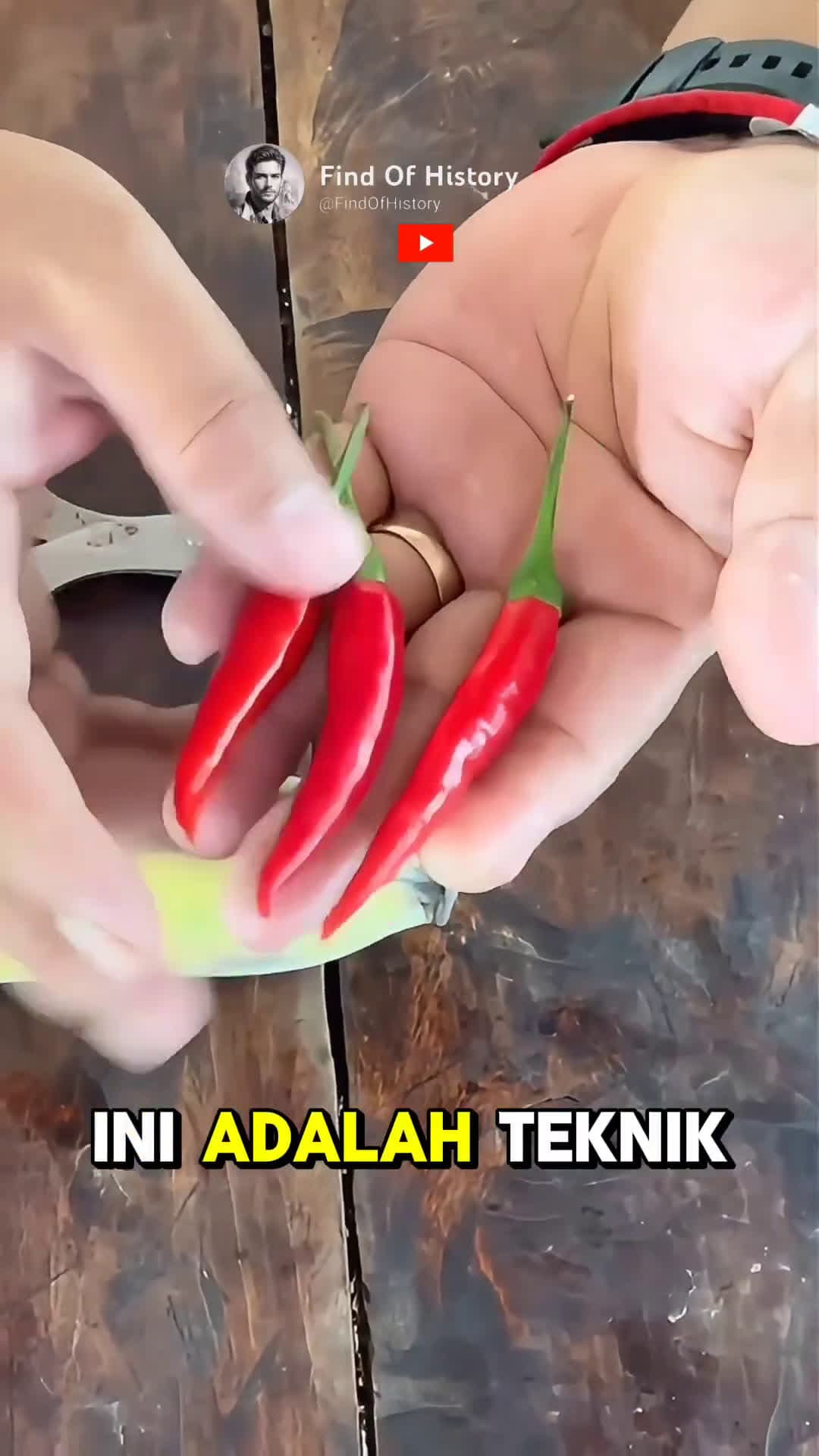 cover for Unbelievable Growing Chili Facts Part 01 shorts unique