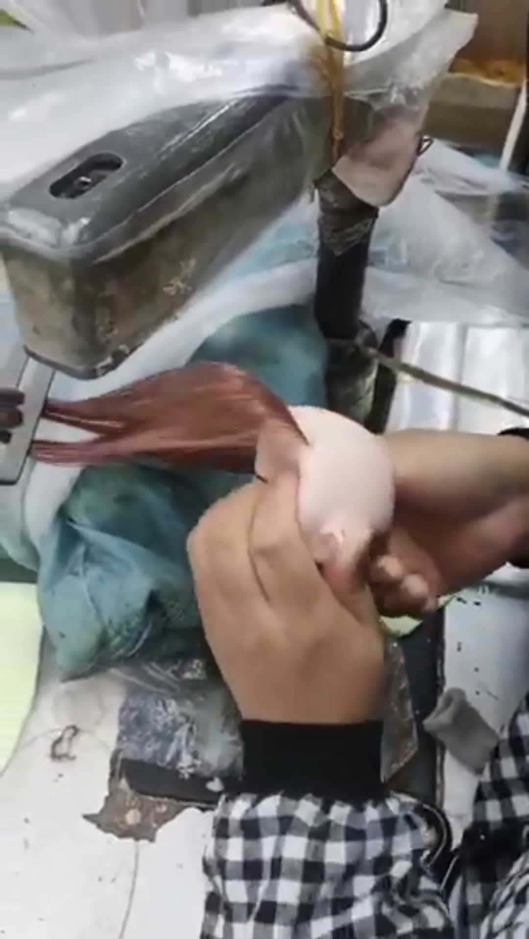 cover for Afraid their hand will get caught in the machine while putting the doll’s hair on 🪆🤲⚙️😬