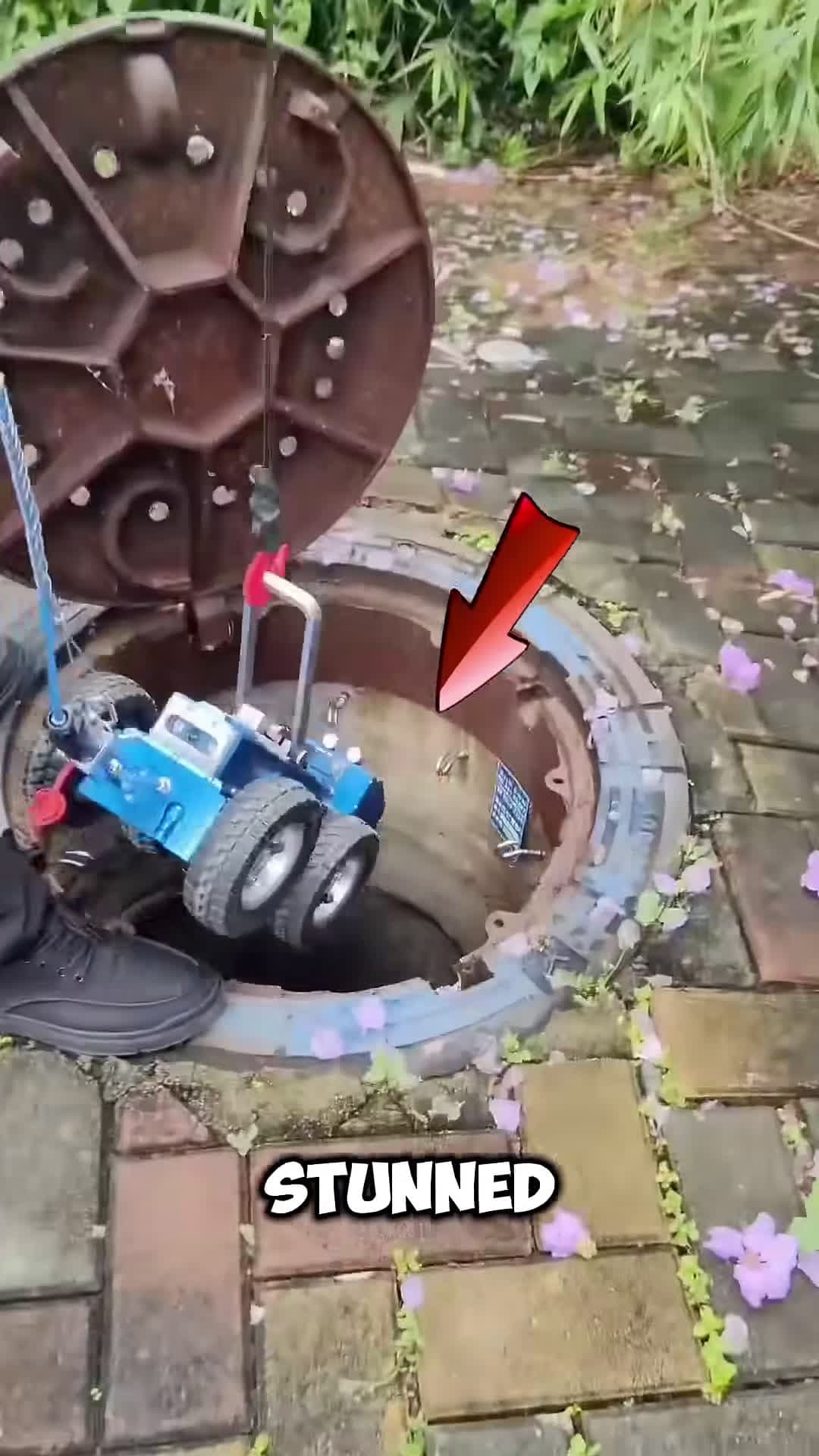 cover for These Guy Caught A Snake using A Truck