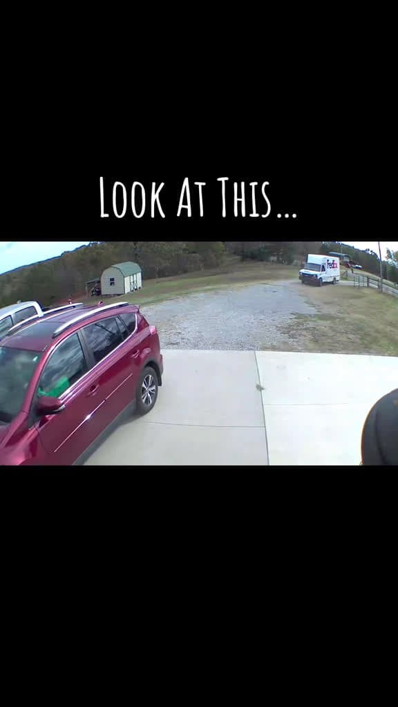 cover for Wife accidentally backs into FedEx truck! 😂 #fail #fedex #oops