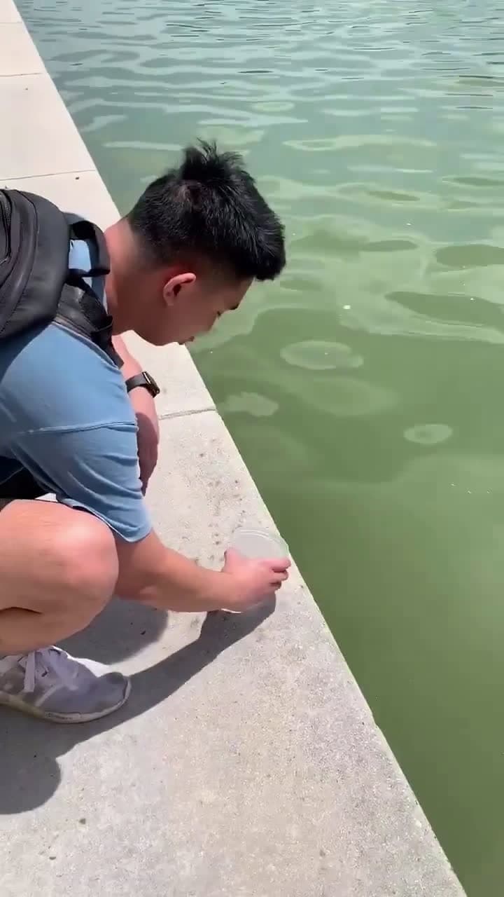 cover for Nature is no joke (Credit duytran66 bitch)