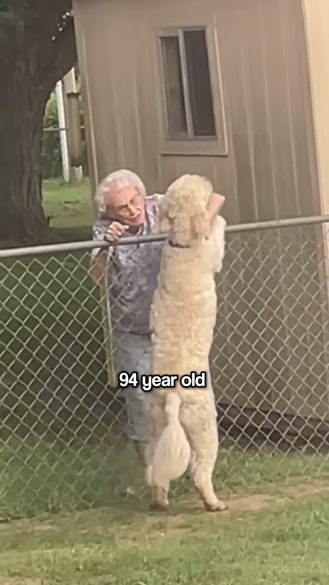 cover for The Dog Met His 94-Year-Old Friend for the Last Time… But Didn’t Know It 😢