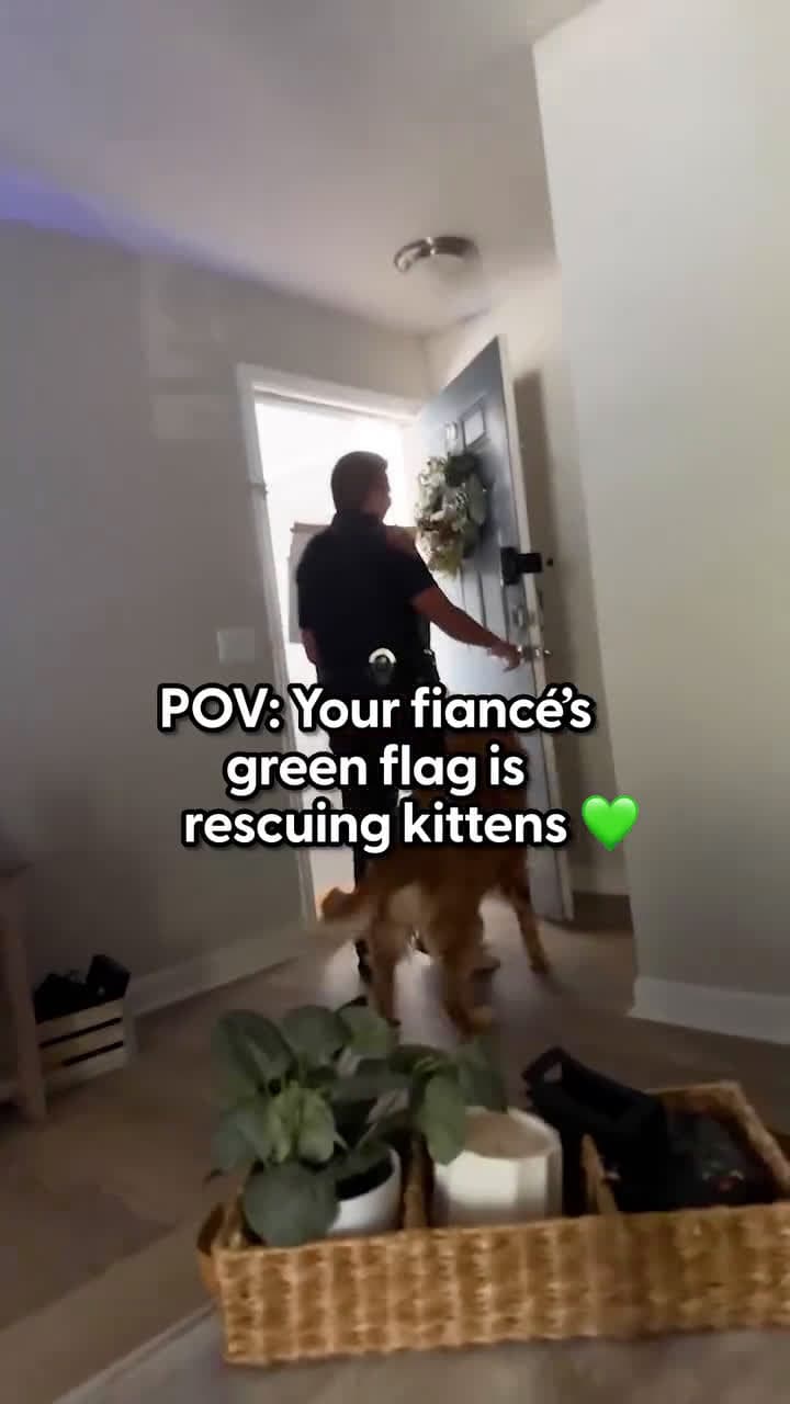 cover for When this police officer's girlfriend told him that in past relationships she was banned from having cats, he starts rescuing stray kittens and brings them home so they can foster together!