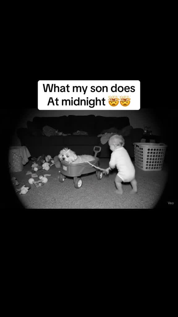cover for That’s why you need night vision cameras  created by Chris and jasmin with Chris and jasmin’s original sound