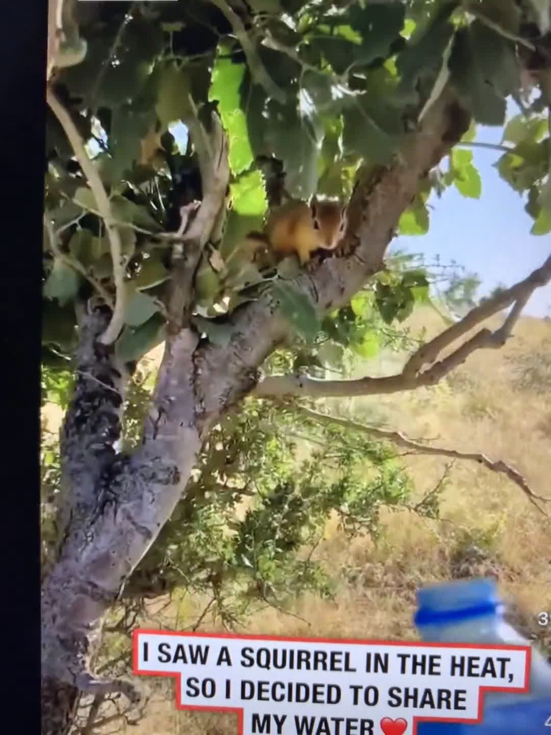 cover for He really needed this moment 🥲 Faith in humanity restored #Heartwarming #Wholesome #Kindness