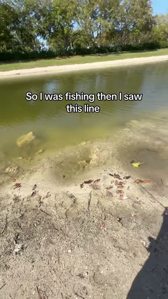 cover for Trying to save this fish and you can already see all the footprints around 🐟 #Fishing #WildlifeRescue #Storytime