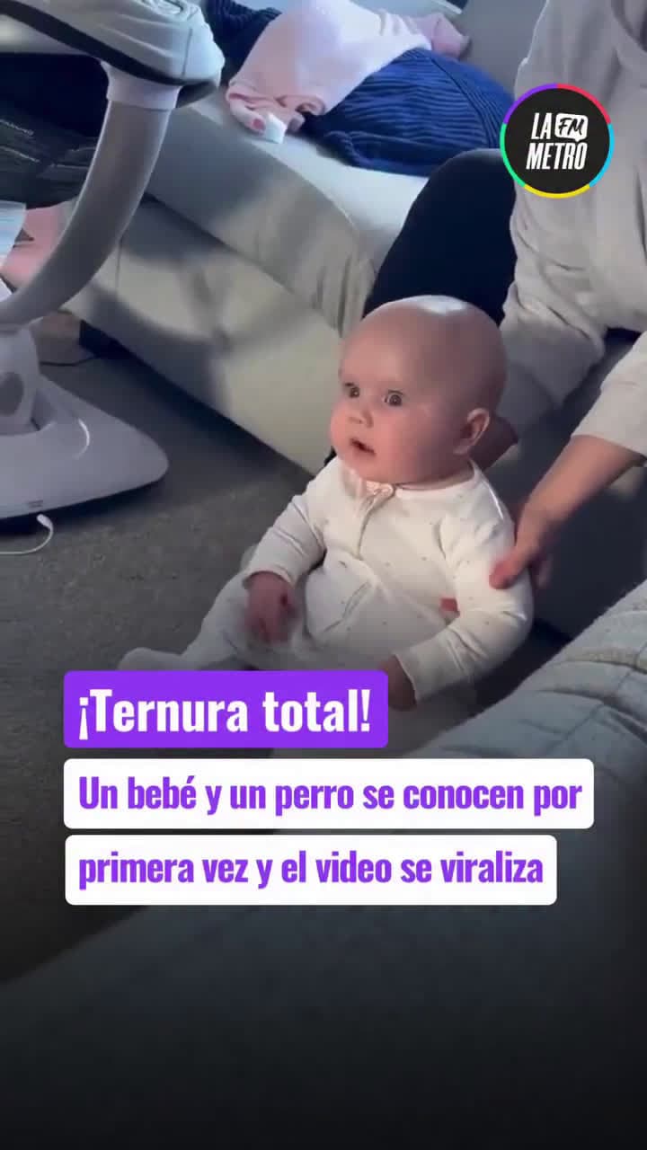 cover for Baby meets dog for the first time and sparks fly in the cutest way 🐶👶 #FirstMeeting #CuteAnimals #BabyLove #DogLovers #Heartwarming