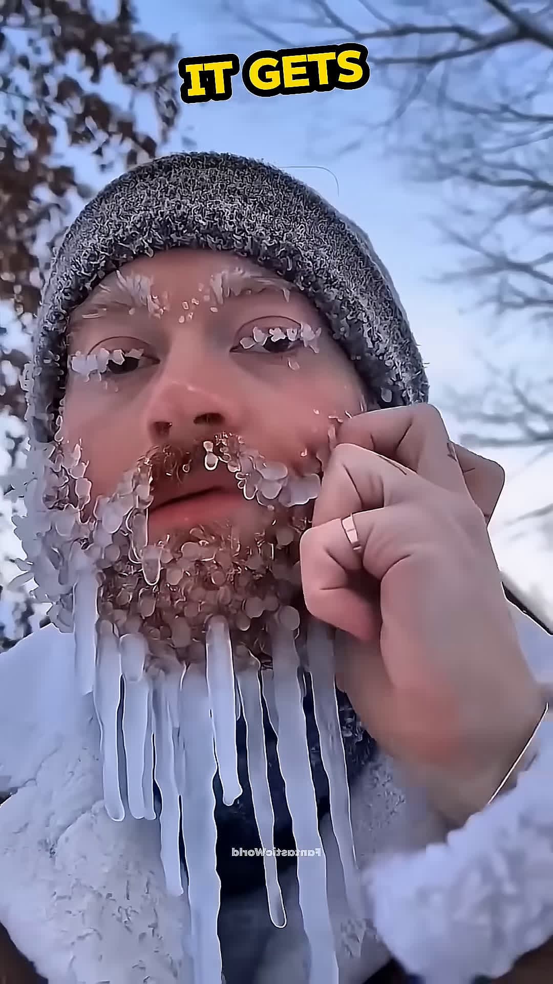cover for Life in one of the coldest places on earth