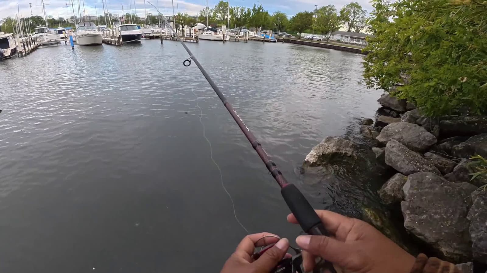 cover for Topwater bass fishing