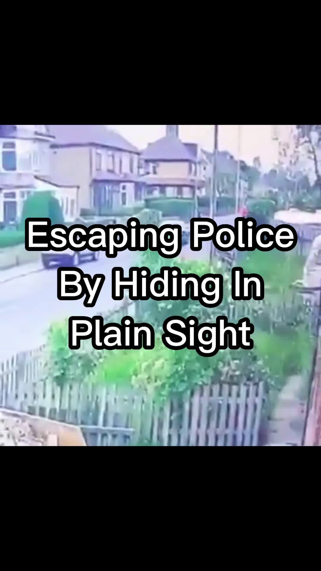 cover for Hiding In Plain Sight 😂 #police #policechase #crime #funny #escape #fyp #fypシ#TrueCrime