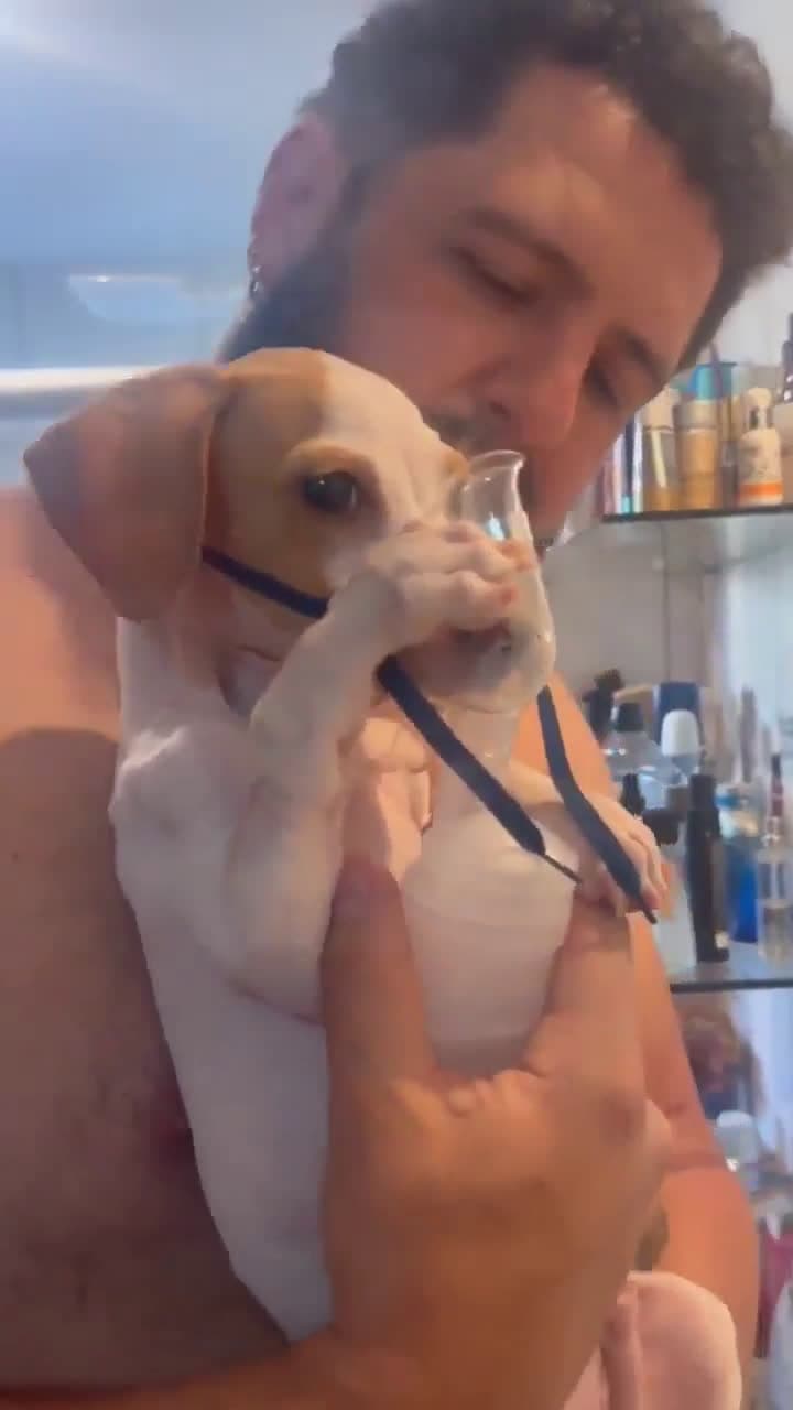cover for This sweet pup knows his inhaler helps him breathe better 🐶❤️ #asthmadog #puppylove #heartwarming
