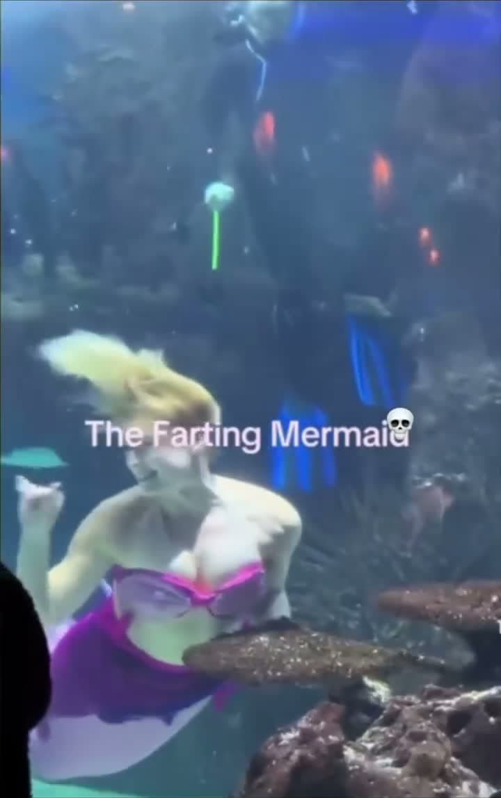 cover for Mermaid farts in the water