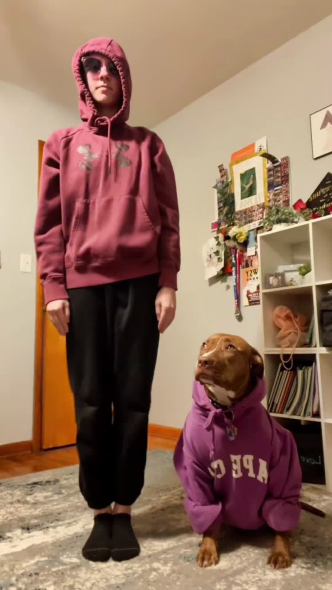 cover for Dog judge people #foryou #dog #fyp #funnyvideo