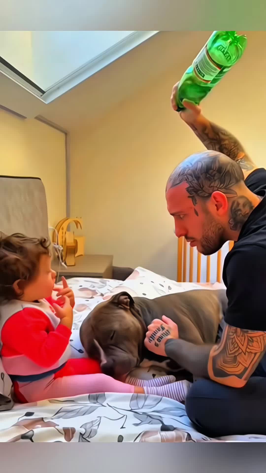 cover for Funny stories about babies and dog 🥰😘 #pet #cat #dog #cute #animals #foryou #typ 