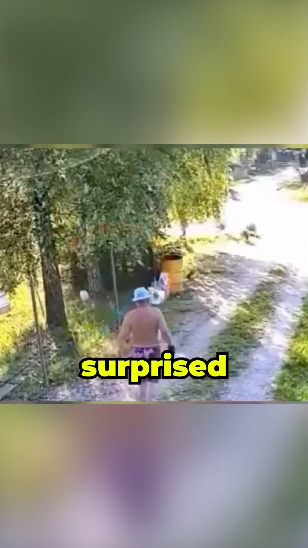 cover for This Animal has 200 IQ