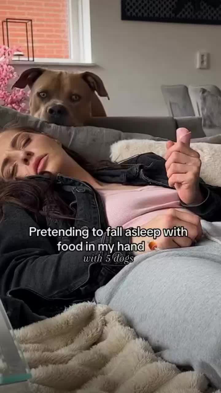 cover for You snooze you lose 🤣