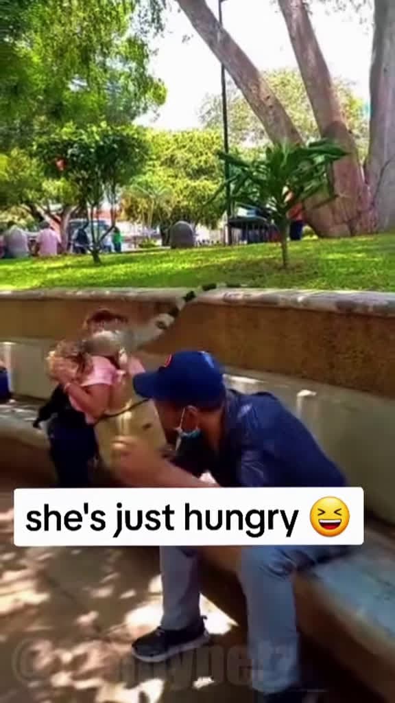 cover for Only in Florida: when pets pull off the wildest stunts 🤯😂 #OnlyInFlorida #FunnyPets #FloridaLife #Crazy #Viral