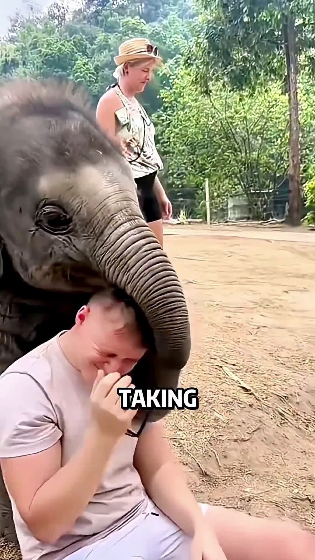 cover for This elephant does it and no one gets mad at him@funny  #scoopzanimalvideo 