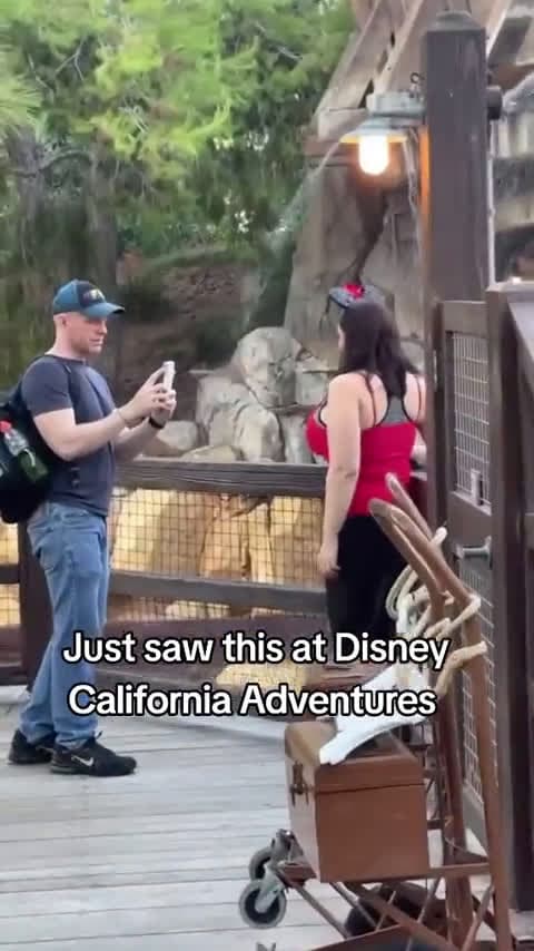 cover for What is happening at Disneyland?! 🤔 #Disneyland #ShockingMoment #Unexpected
