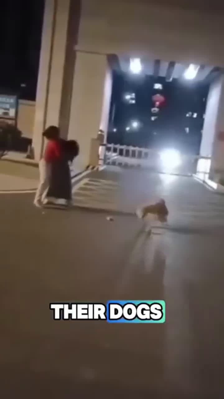 cover for #CaughtOnCamera These dogs are the real Heroes!