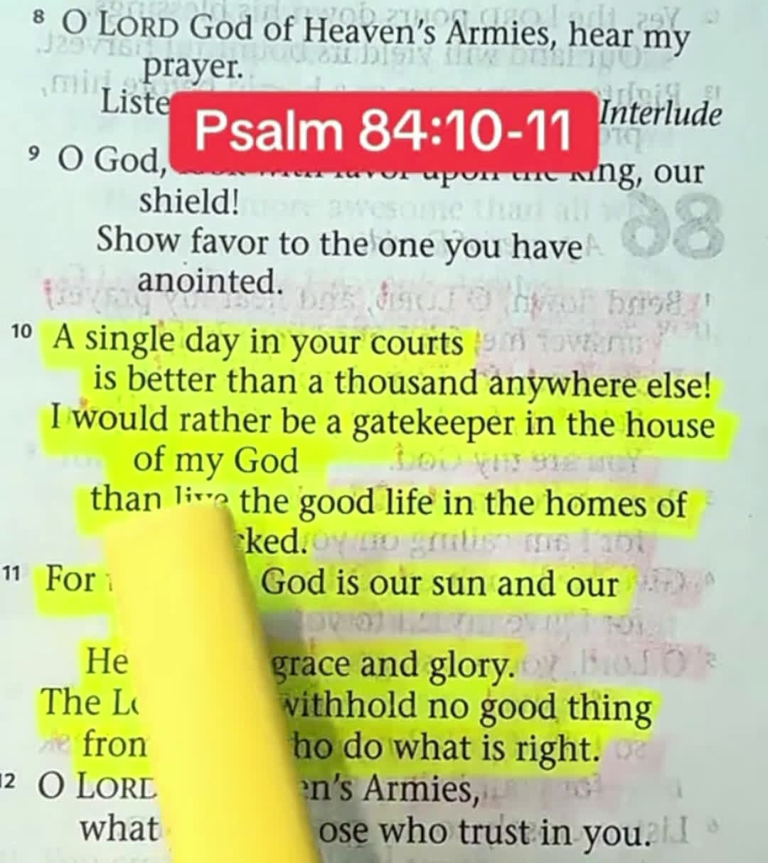cover for #dailyscripture