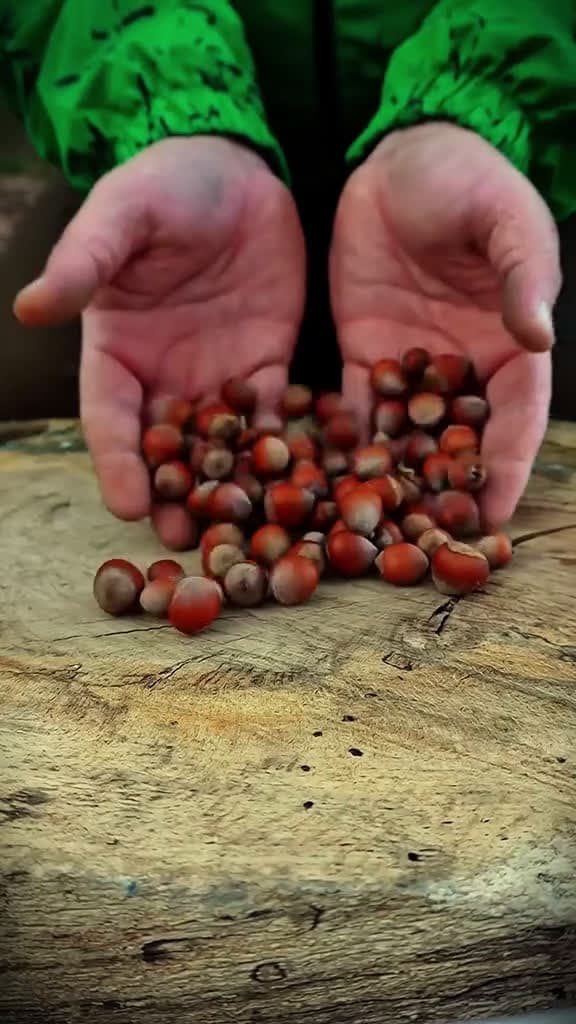 cover for Three survival skills🔥 #survival #outdoors #survivaltips #survivalskills #lifehack #skills #asmr #bushcraftsurvival #foryou #asmrvideo #learnontiktok #pocket #campingtips #campingskills #technique #us #uk