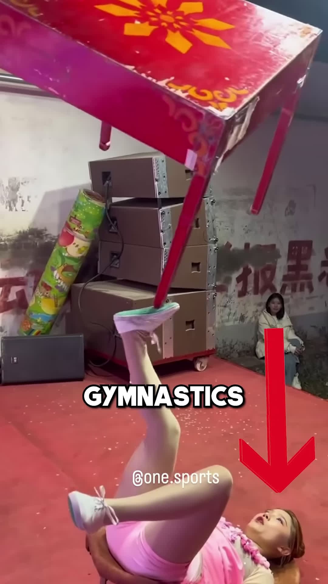 cover for The World Gymnastics Champion