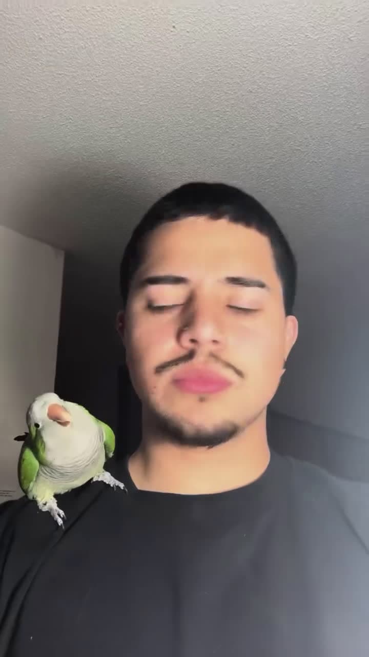 cover for Didn't expect that 🤣🤣🤣🤣