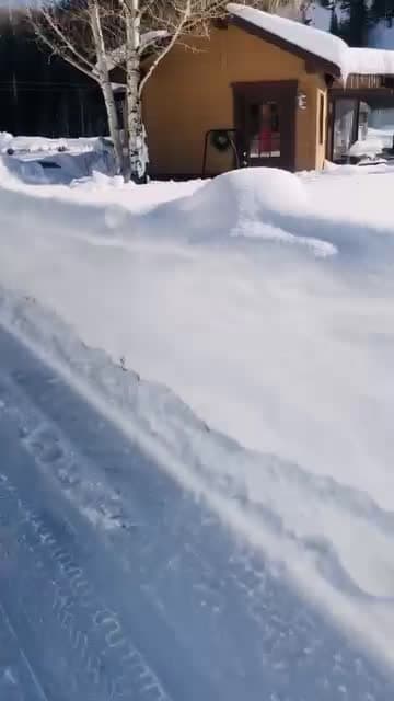 cover for Heres the last video of Corona This is the last time we saw her before she passed away She used to live there at that small house where we always visit her She was the the cat